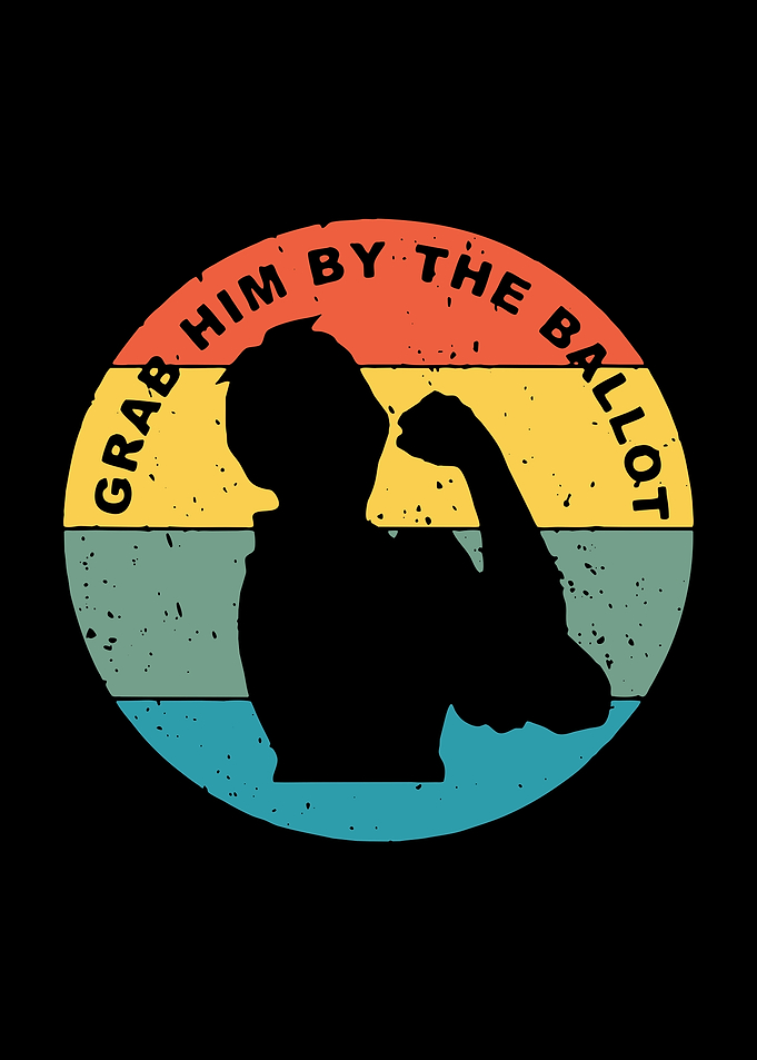 grab him by the ballot