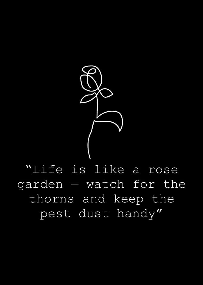 Quote with a rose
