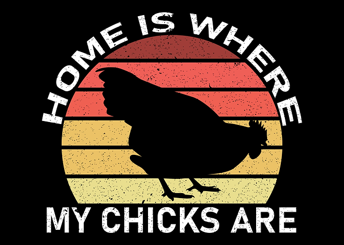 Chicken Farming Farmer