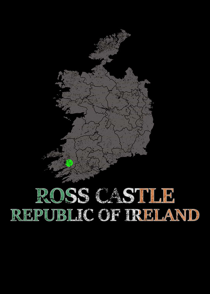 Irland Ross Castle