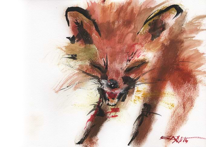 N303 Renard roux