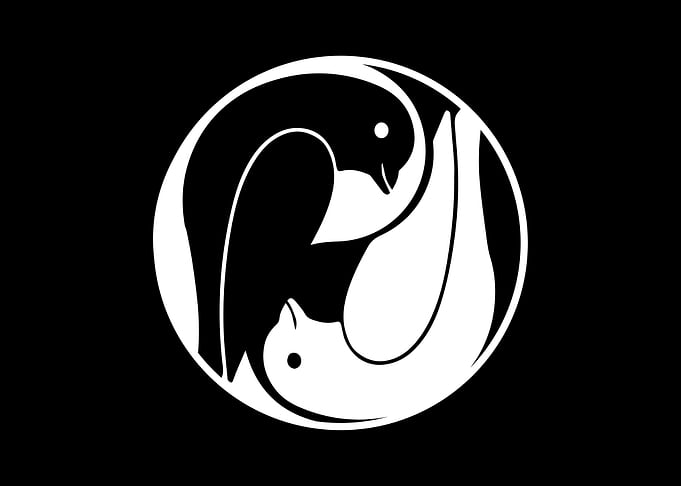 Qigong Taichi