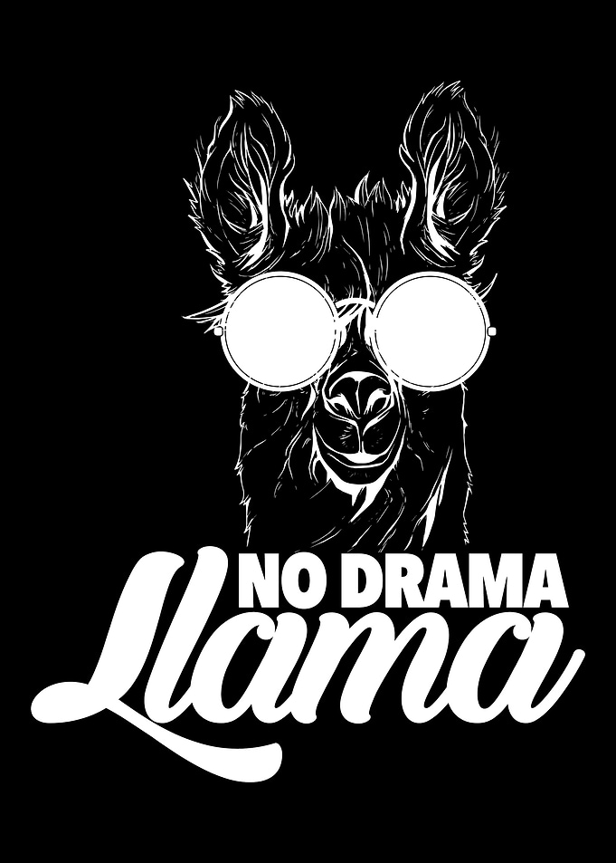 Llama Alpaca