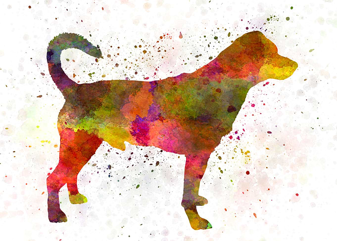 Danish swedish farmdog