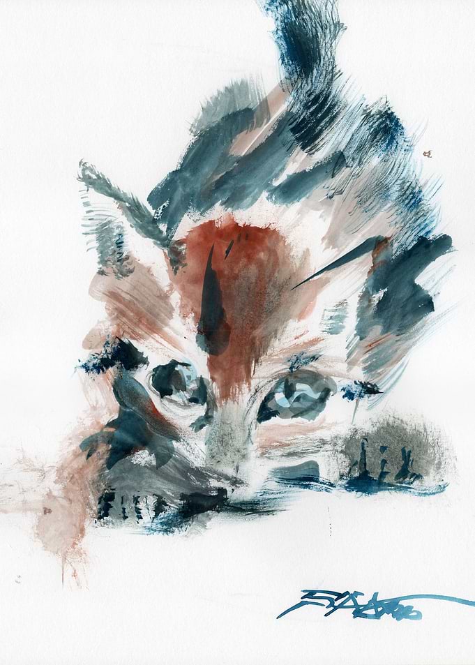 N208 Chaton