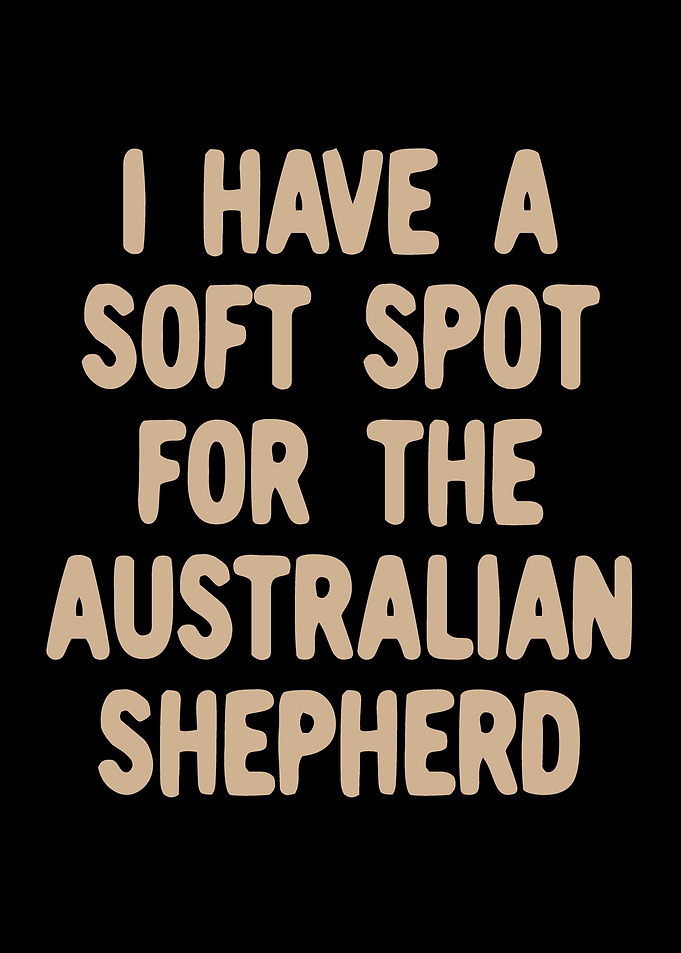 Australian Shepherd