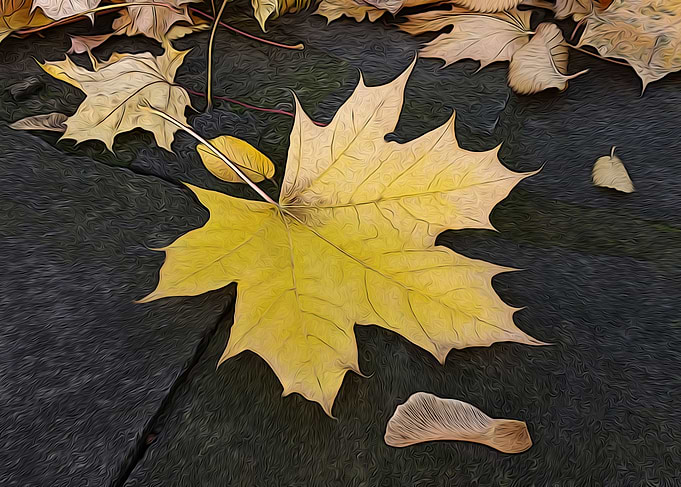 Leaves on sidewalk