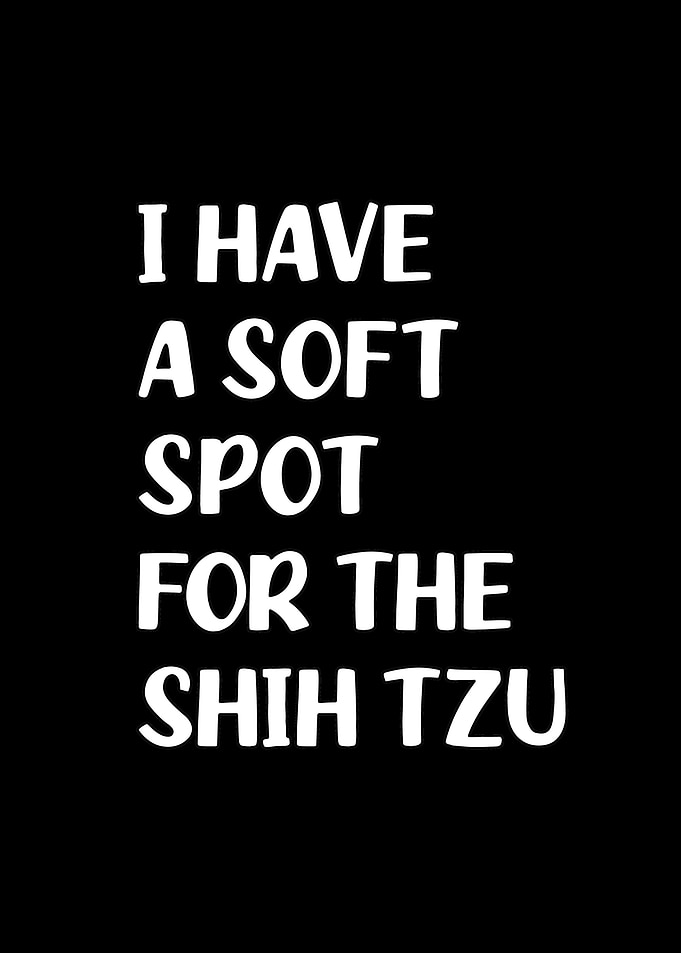 Shih Tzu