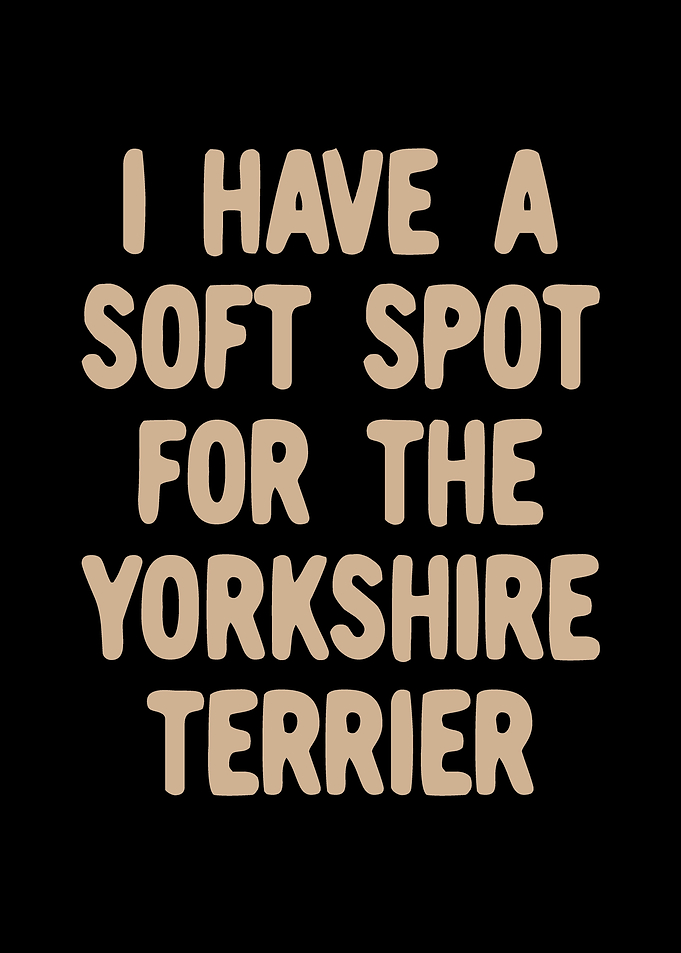 Yorkshire Terrier