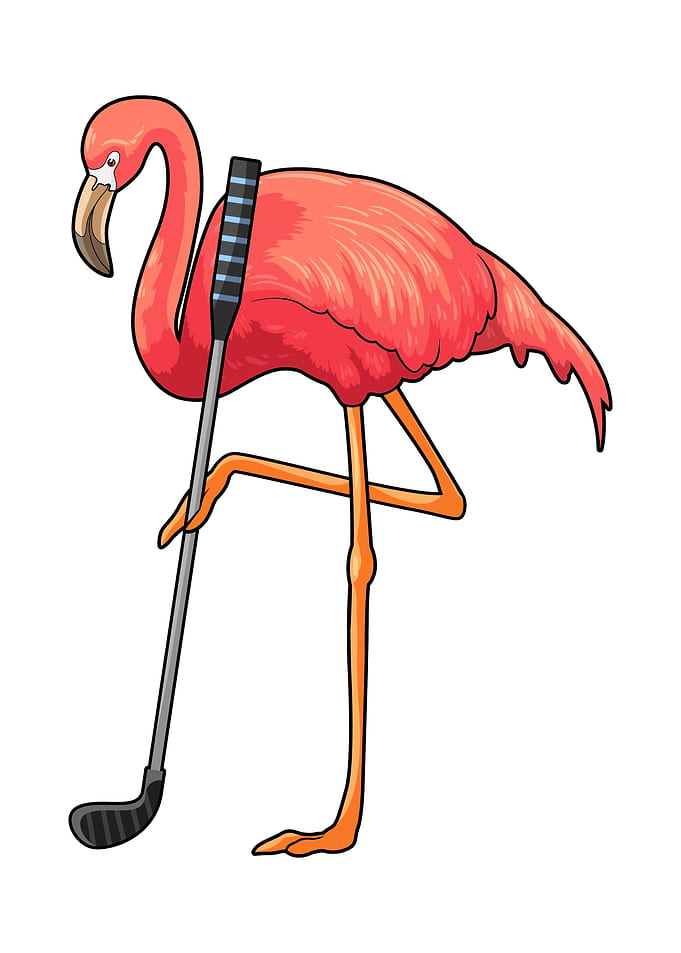 Flamingo Golf Golf club