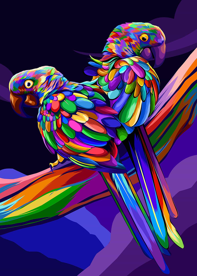 Macaw