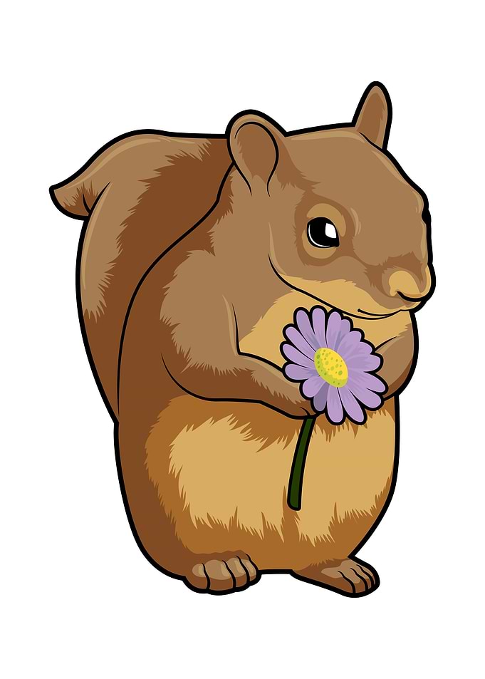 Squirrel Violett Flower