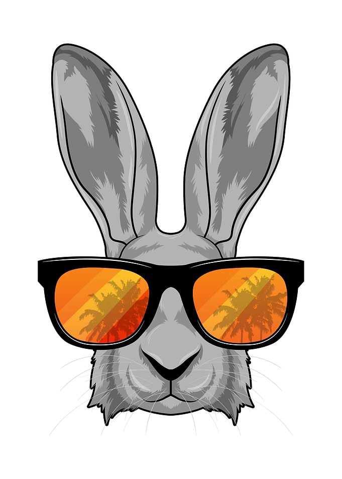 Rabbit Sunglasses