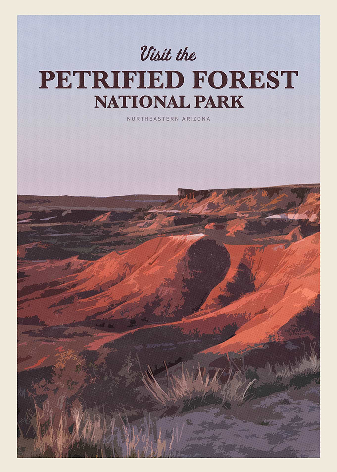 Visit the Petrified Forest