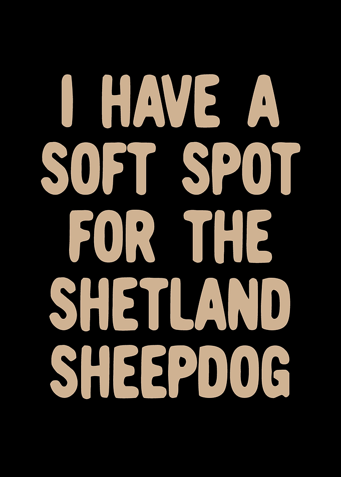 Shetland Sheepdog
