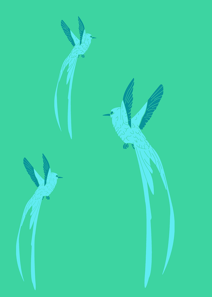 Bird