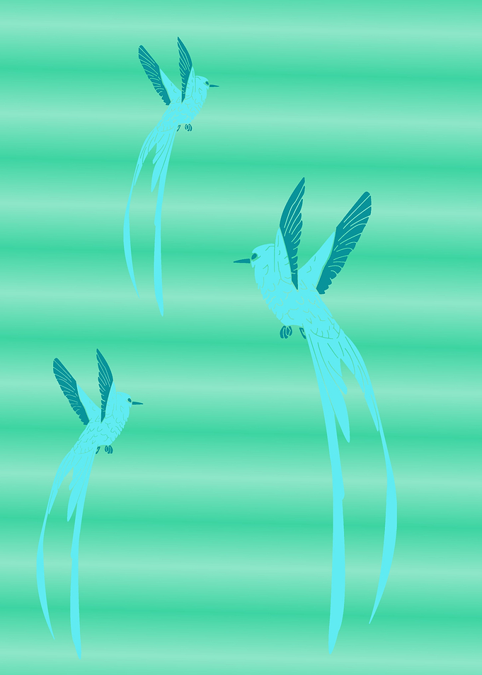 Bird