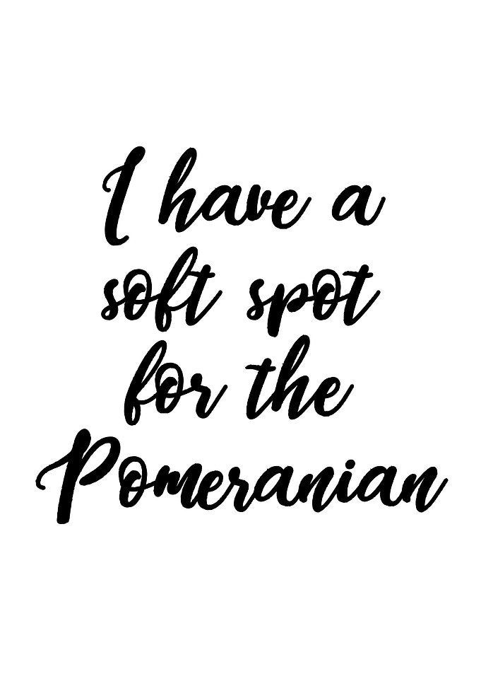 Pomeranian