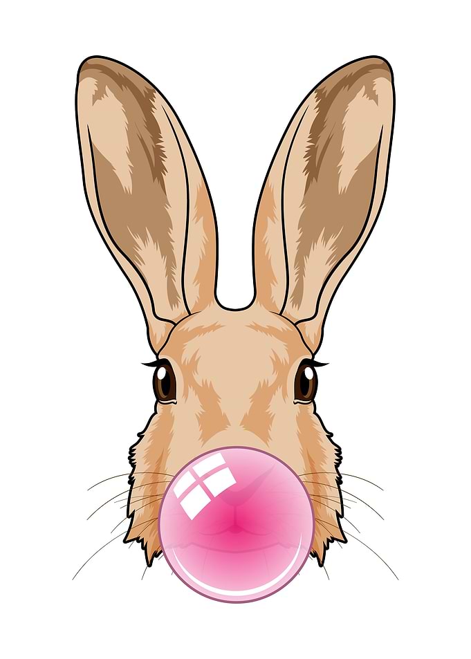 Rabbit Chewing gum