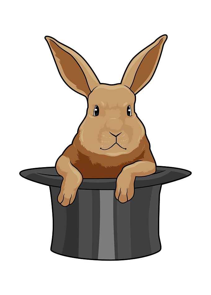 Rabbit Magician Hat