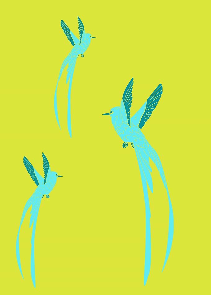 Bird