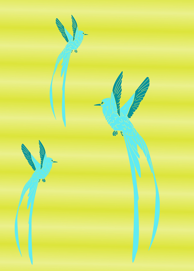 Bird