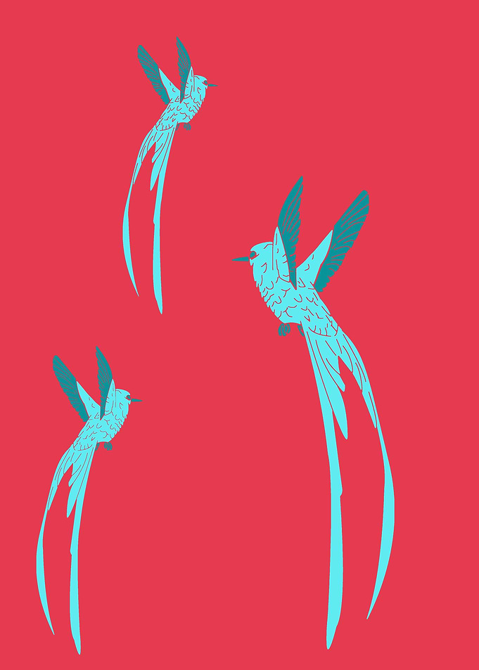 Bird