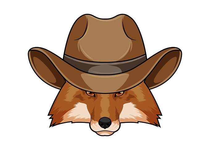 Fox Cowboy Hat