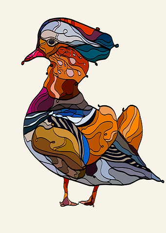 Mandarin duck