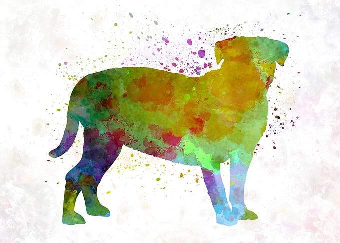 Dogo de Bordeaux