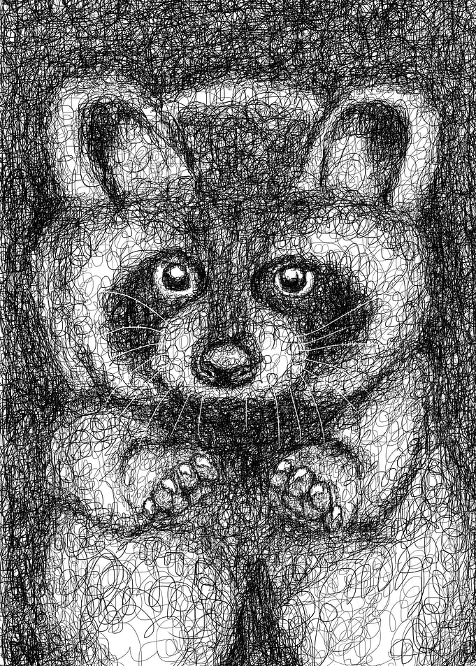 raccoon scribbles