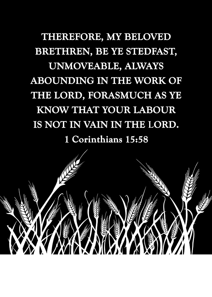 1 Corinthians 15 58