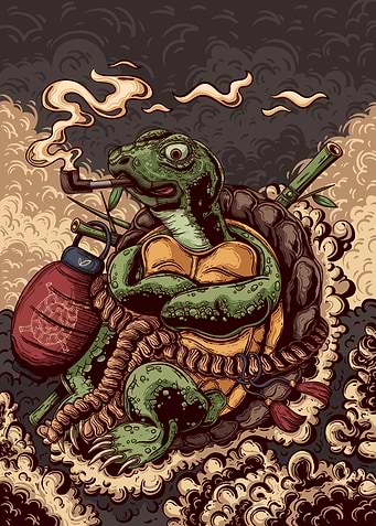 Turtle Ninja