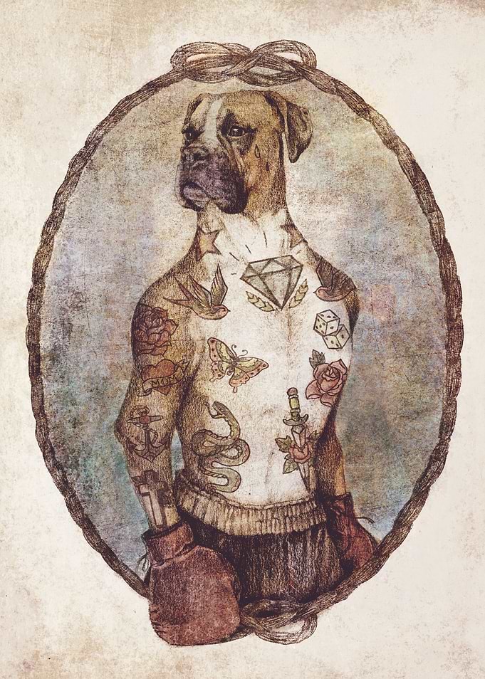 Boxer