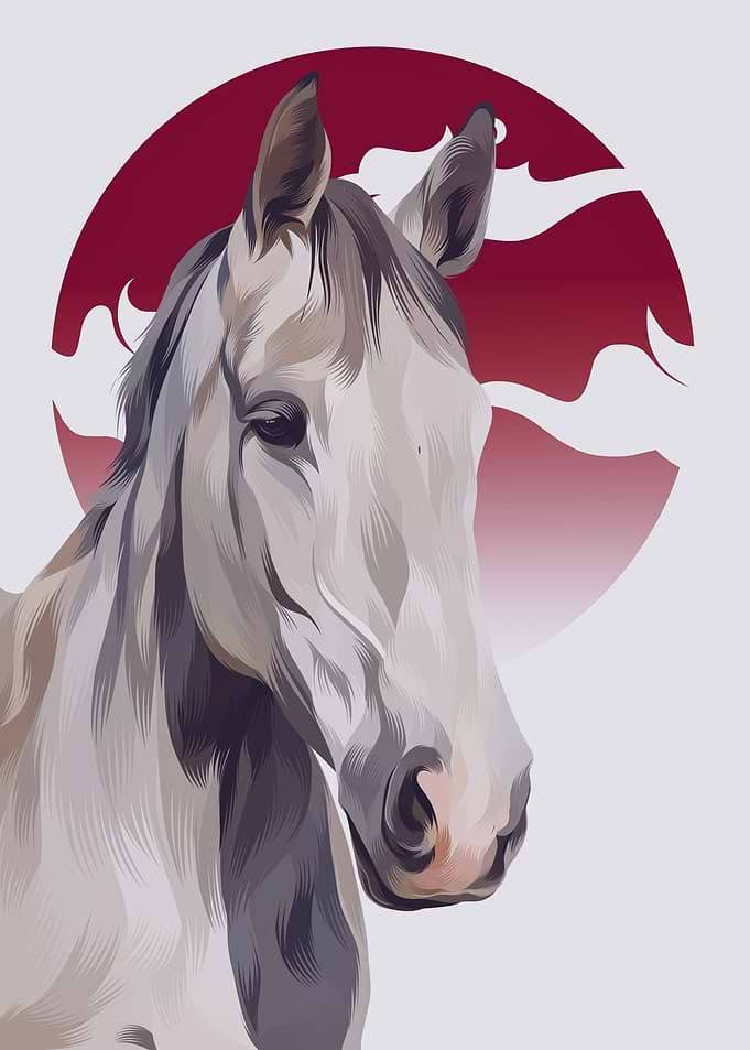 Horse 2