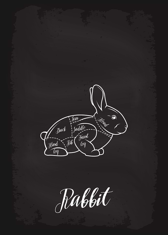 Butcher Cuts of Rabbit