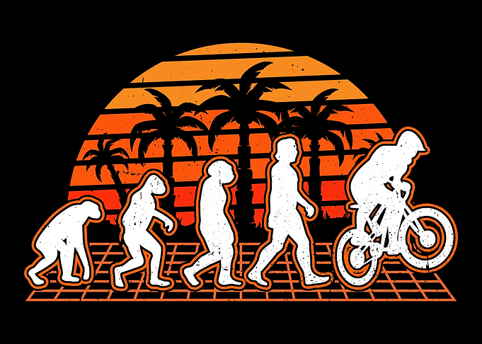 Bike Evolution Sunset Bmx