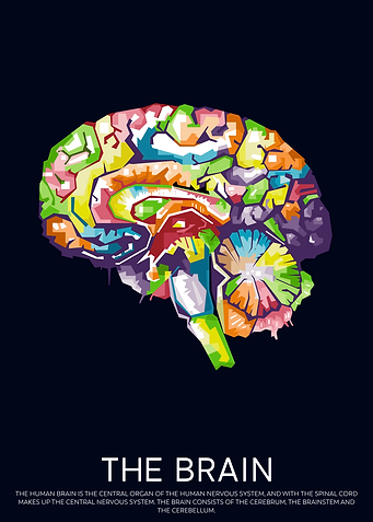 The Brain