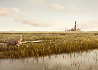 Lighthouse at North Sea