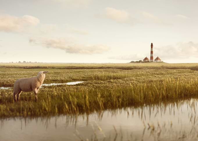 Lighthouse at North Sea