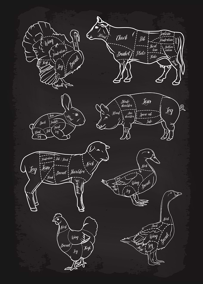 Butcher Cuts Guide