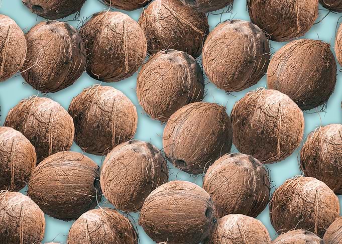Coconut pattern