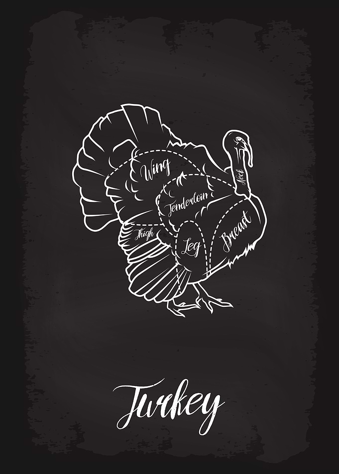Butcher Cuts of Turkey