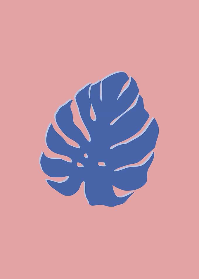 Monstera purple