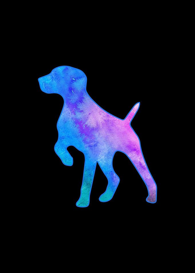 German Shorthair Pointer