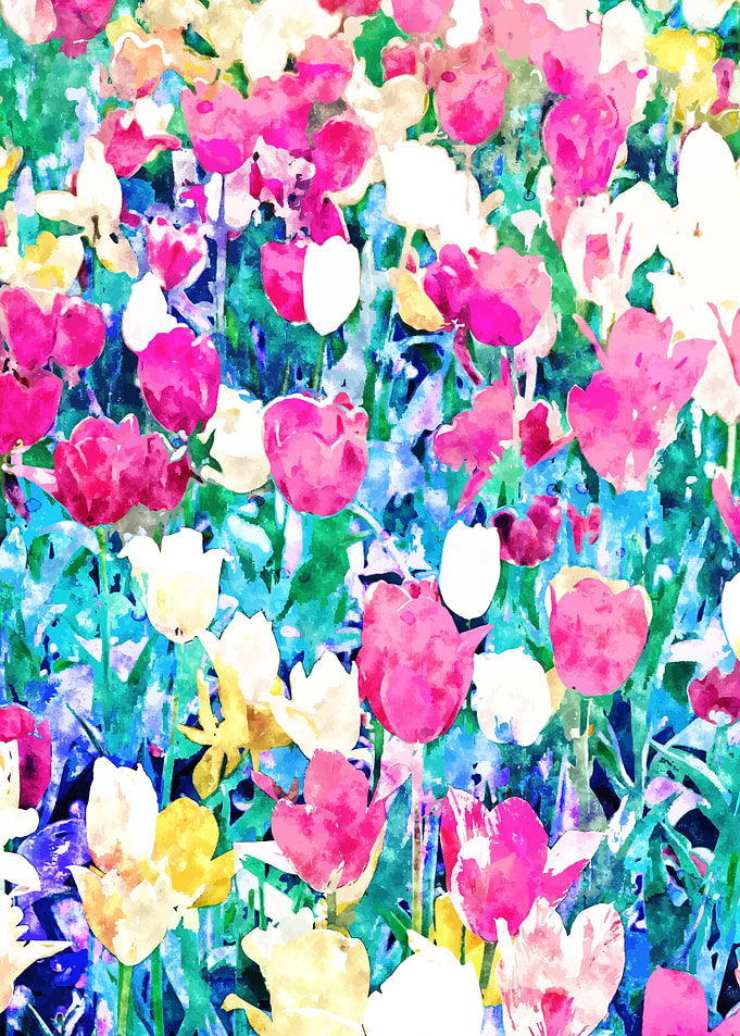 Meadow in Bloom