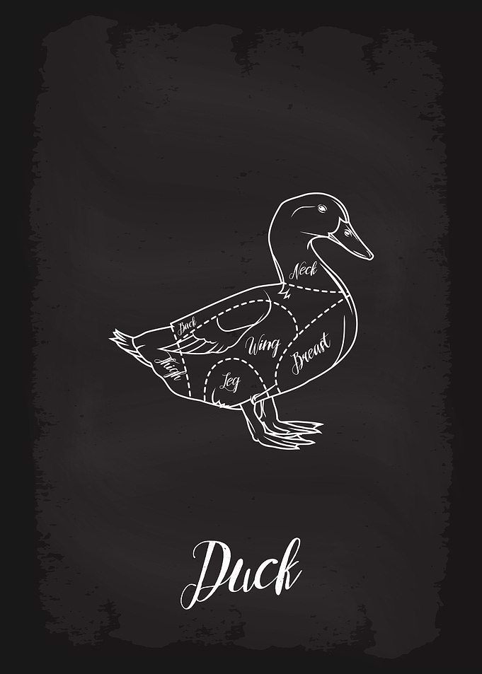 Butcher Cuts of Duck