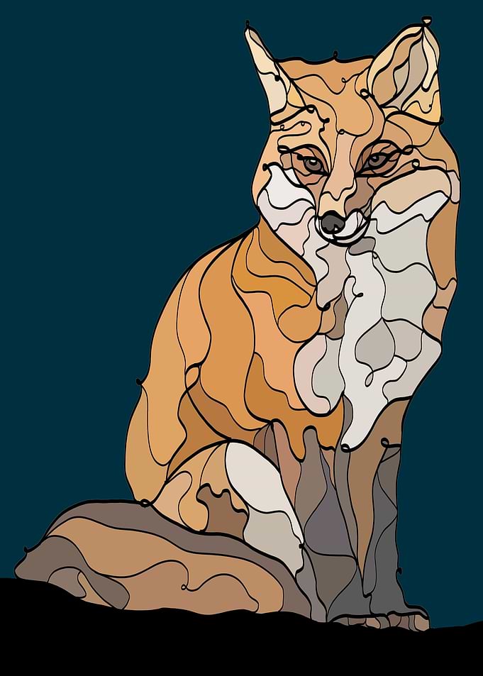 Fox