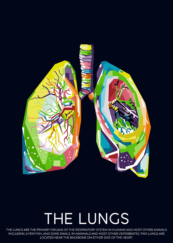The Lungs
