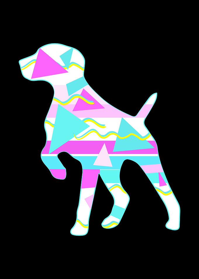 German Shorthair Pointer